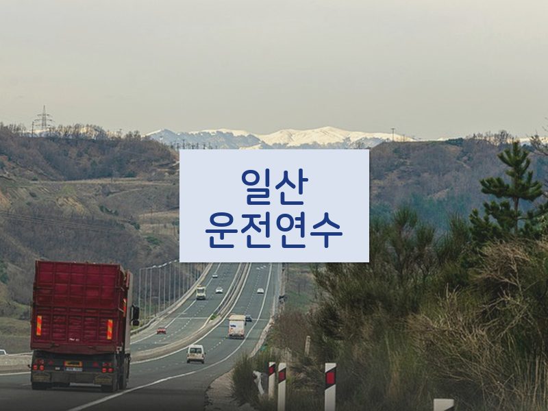 일산운전연수 후기