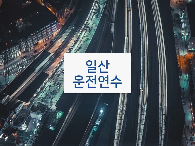 일산운전연수 후기
