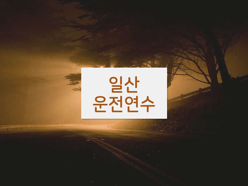 일산운전연수 후기