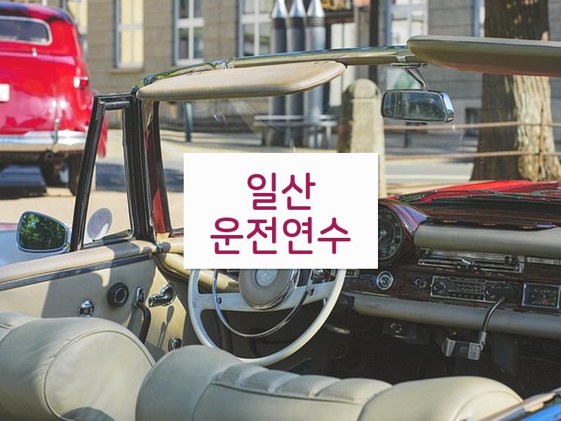 일산운전연수 후기