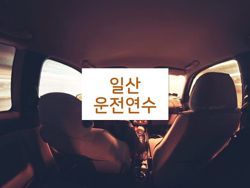 일산운전연수 후기