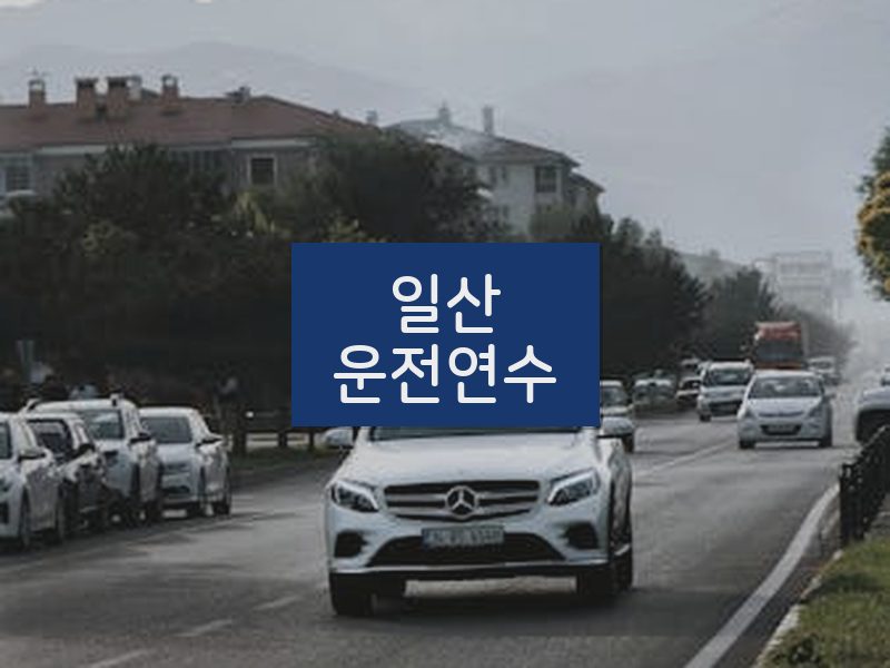 일산운전연수 후기
