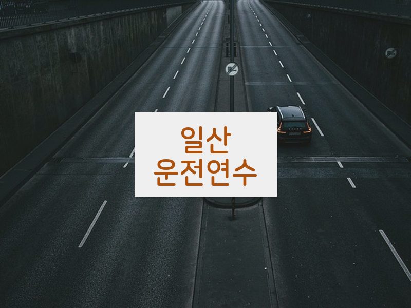 일산운전연수 후기