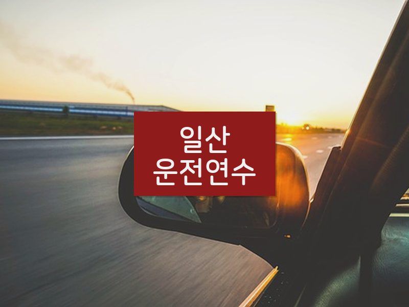 일산운전연수 후기