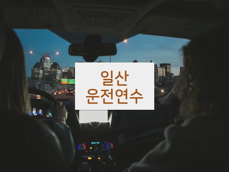 일산운전연수 후기