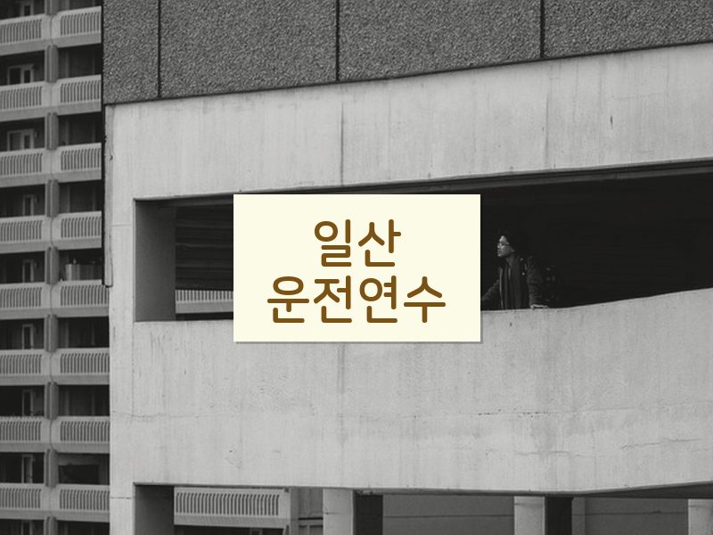 일산운전연수 후기