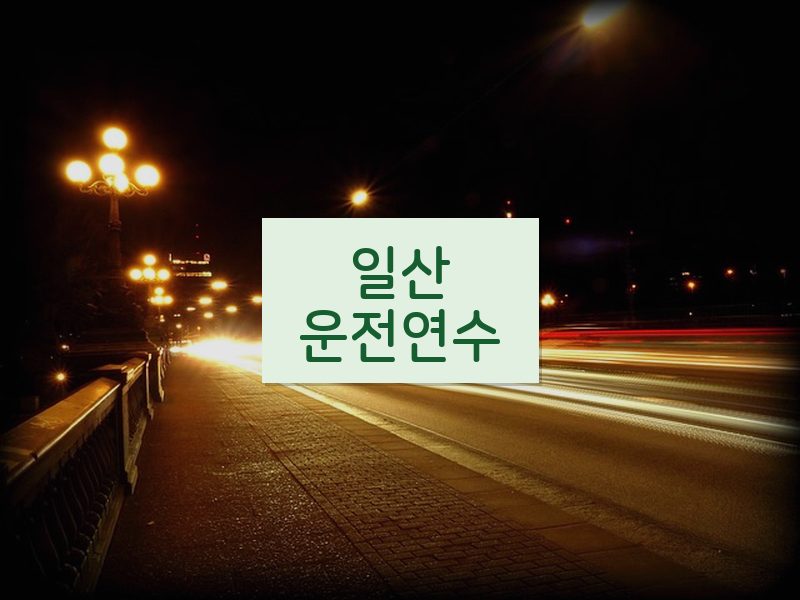 일산운전연수 후기