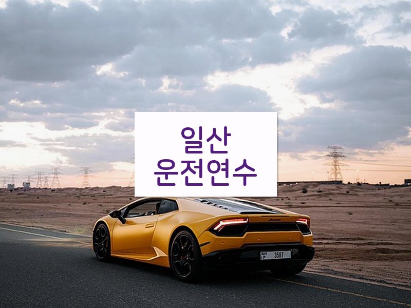 일산운전연수 후기