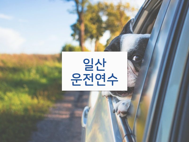 일산운전연수 후기