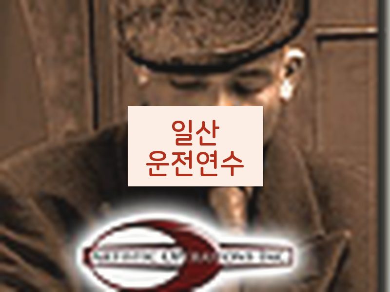 일산운전연수 후기