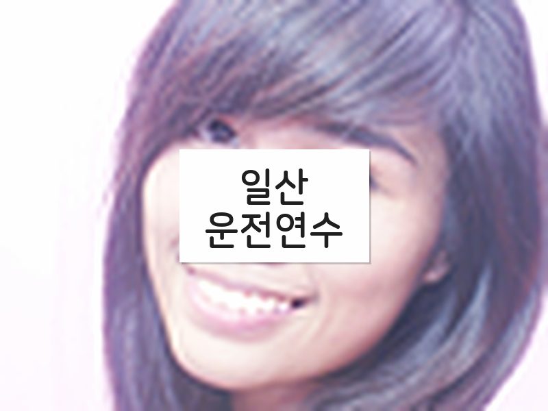 일산운전연수 후기