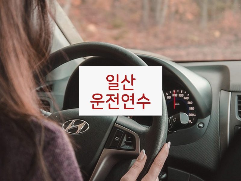 일산운전연수 후기