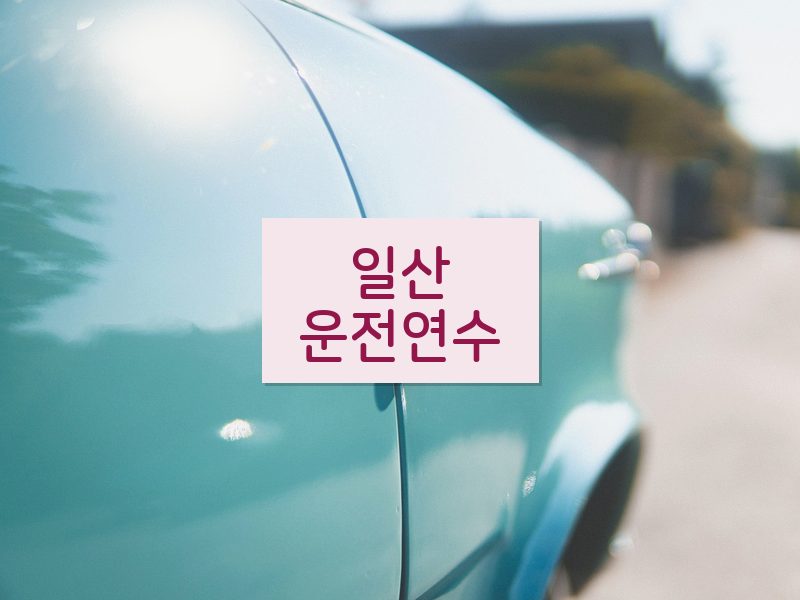 일산운전연수 후기