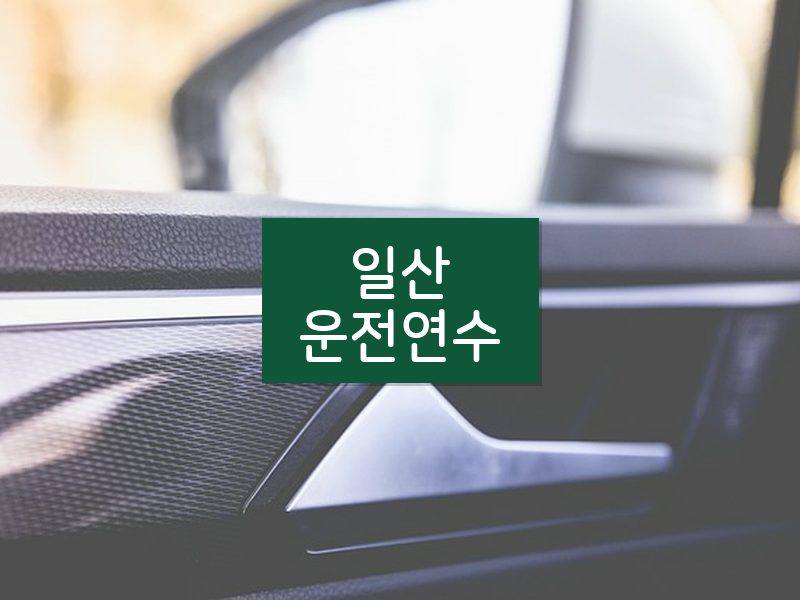 일산운전연수 후기