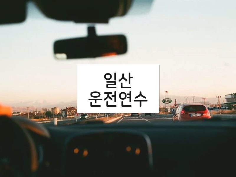 일산운전연수 후기