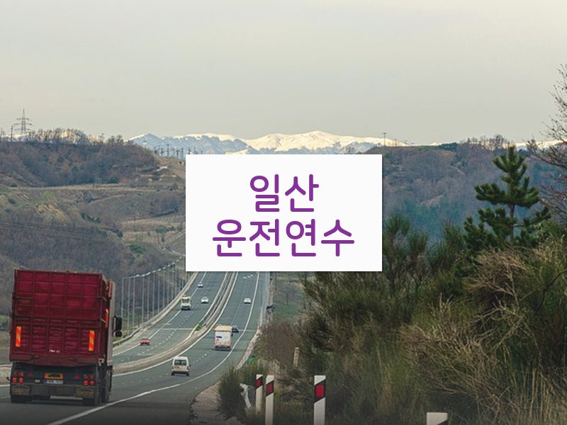 일산운전연수 후기