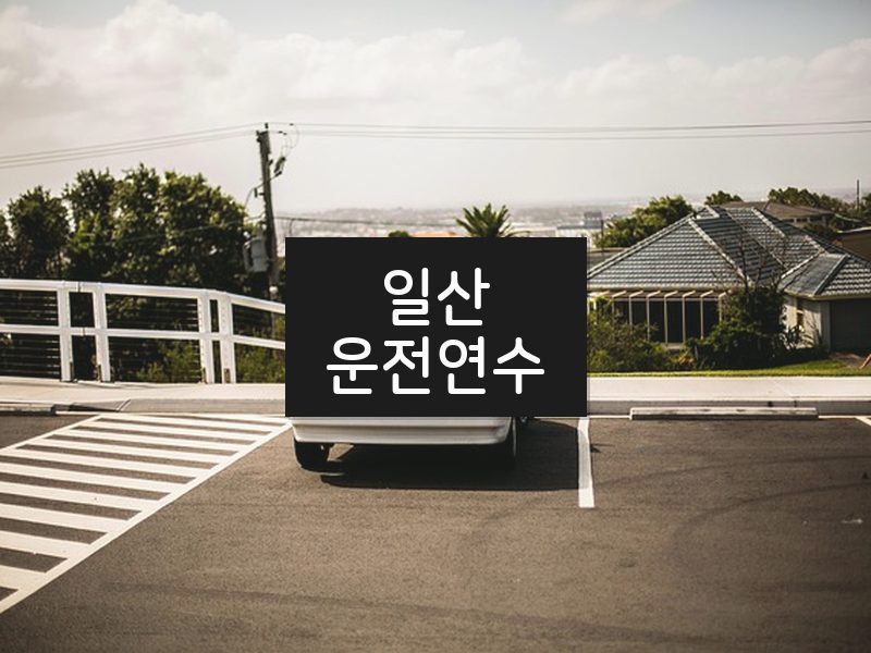 일산운전연수 후기