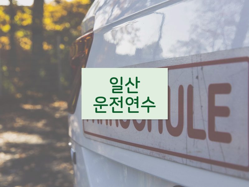 일산운전연수 후기