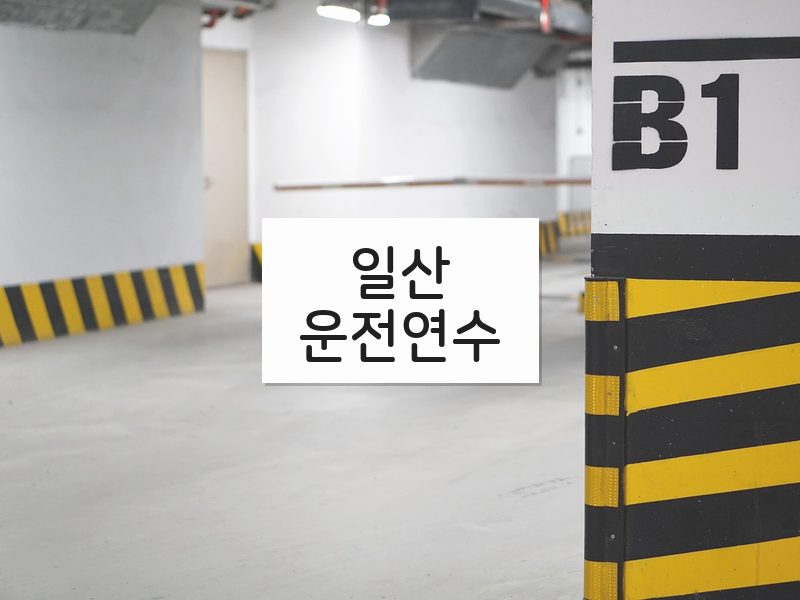 일산운전연수 후기