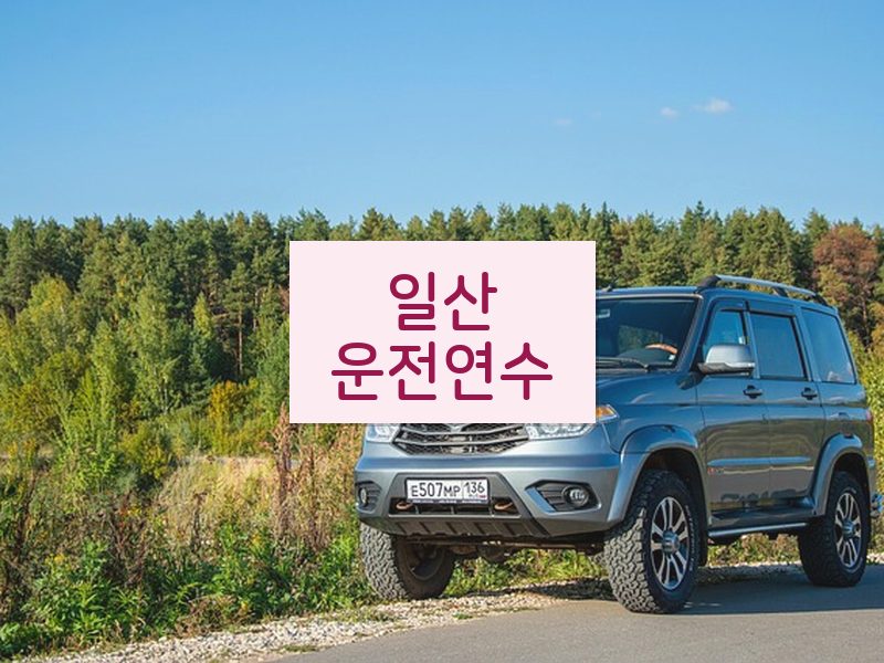 일산운전연수 후기