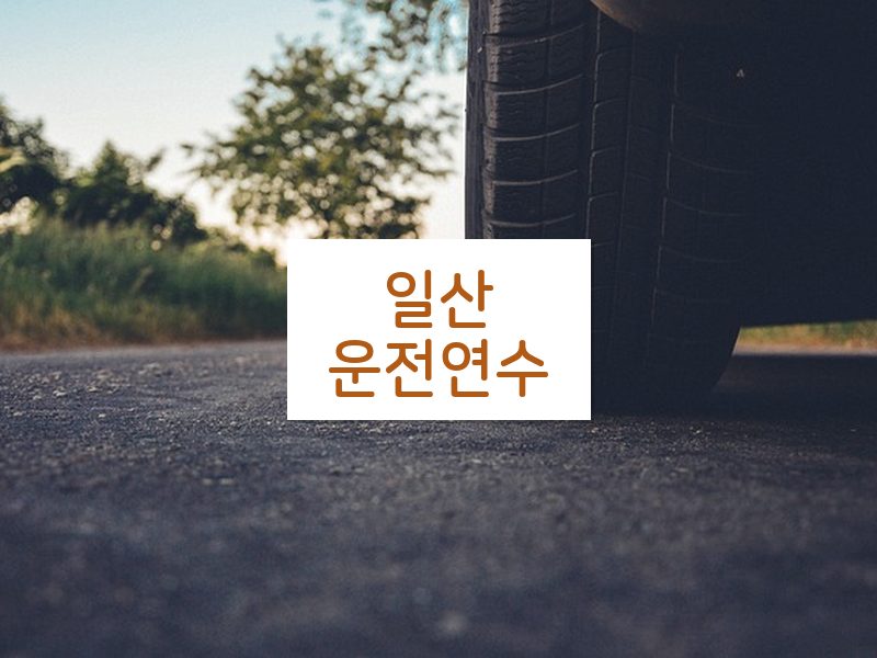 일산운전연수 후기