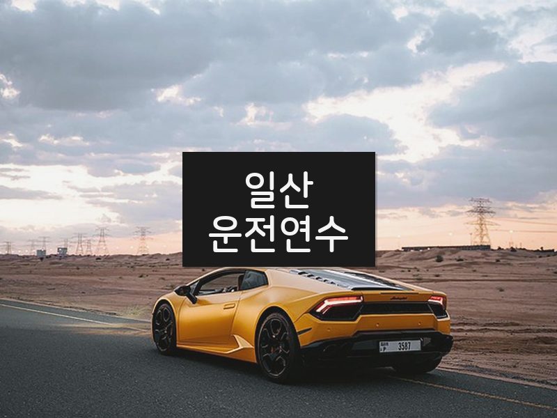 일산운전연수 후기