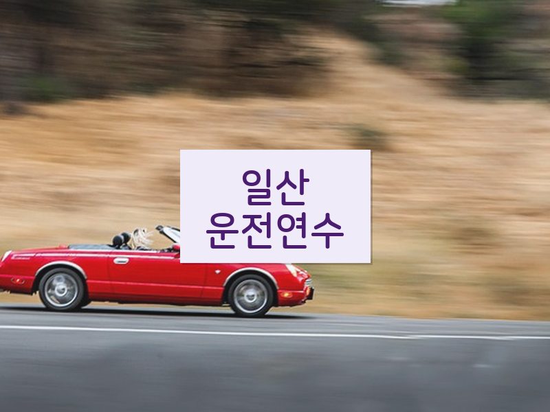 일산운전연수 후기