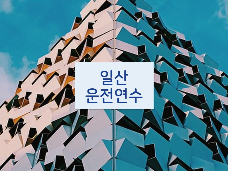 일산운전연수 후기