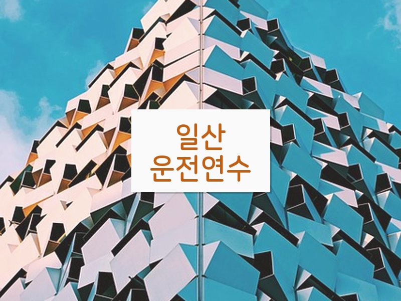 일산운전연수 후기