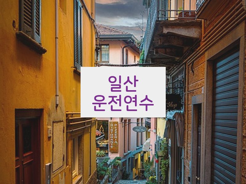 일산운전연수 후기