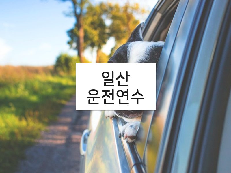일산운전연수 후기