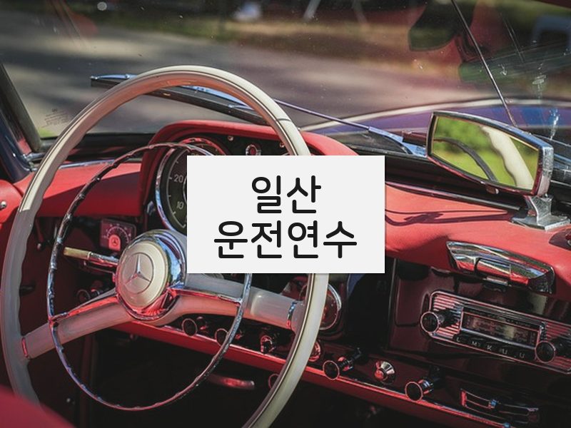 일산운전연수 후기