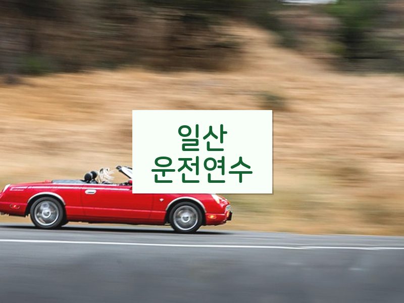 일산운전연수 후기