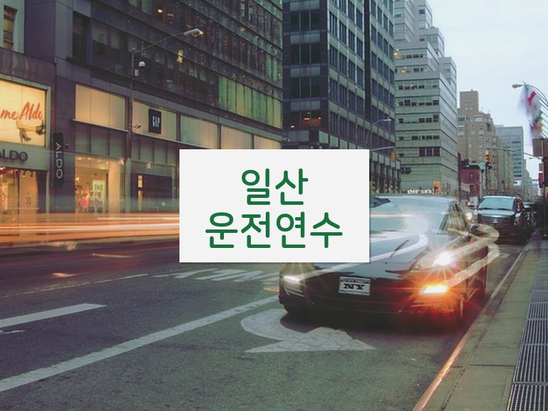 일산운전연수 후기