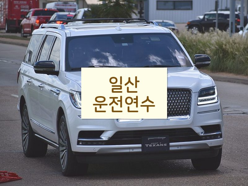 일산운전연수 후기