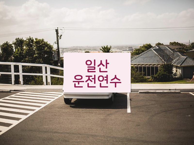 일산운전연수 후기