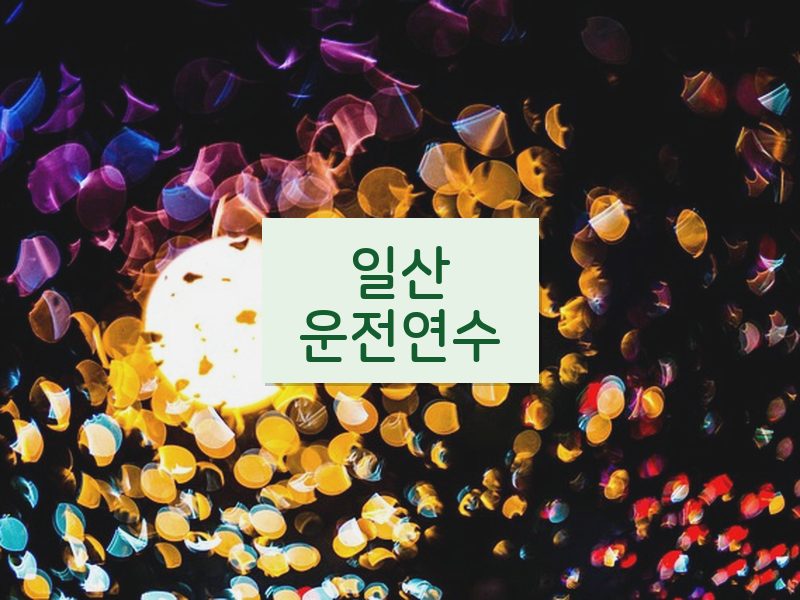 일산운전연수 후기