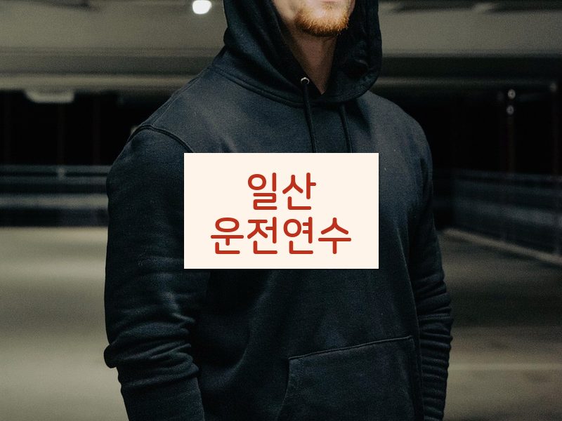 일산운전연수 후기