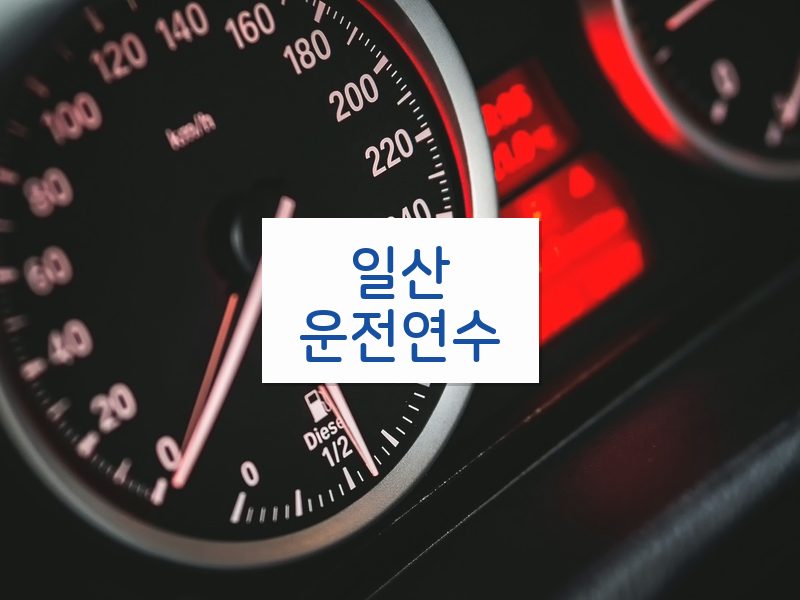 일산운전연수 후기