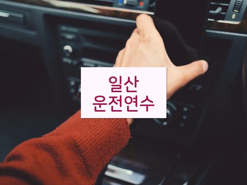 일산운전연수 후기