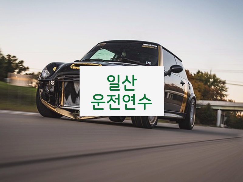 일산운전연수 후기