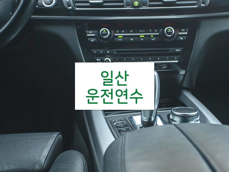 일산운전연수 후기