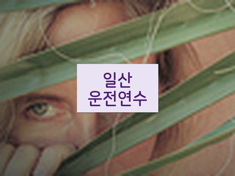 일산운전연수 후기