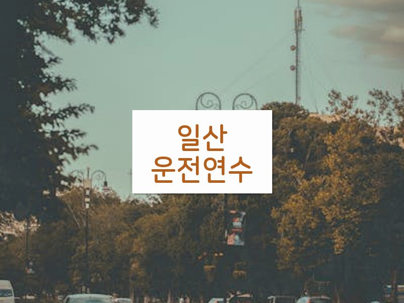 일산운전연수 후기