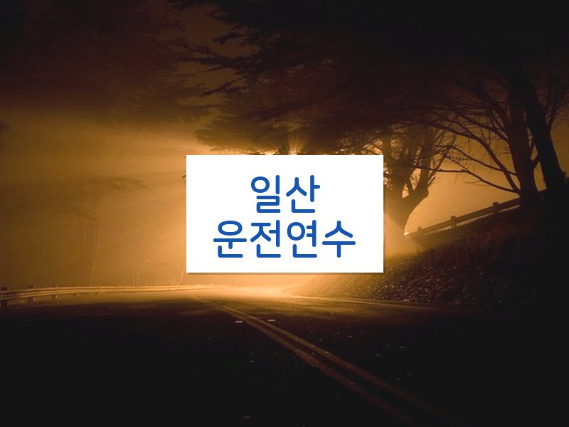 일산운전연수 후기