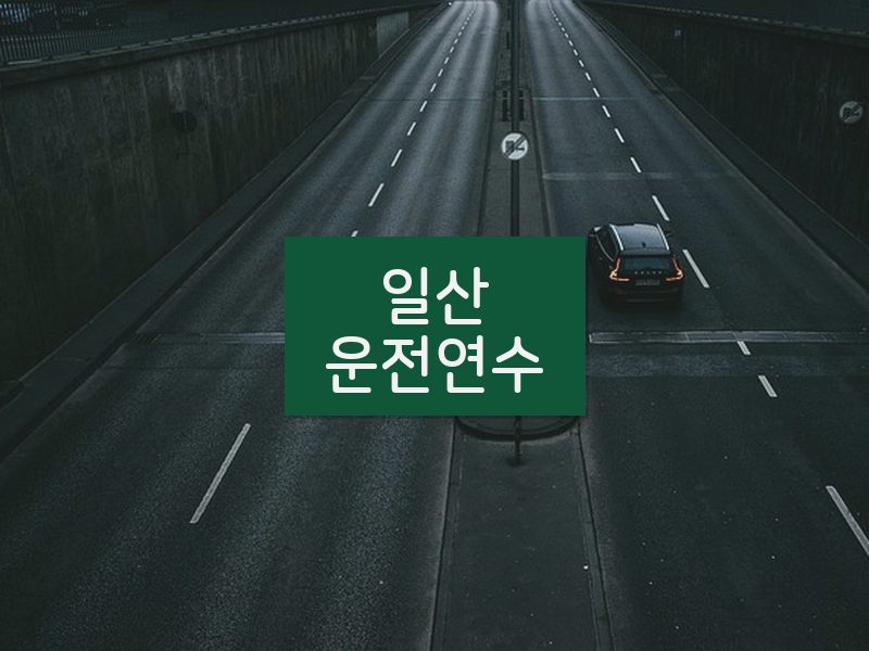 일산운전연수 후기
