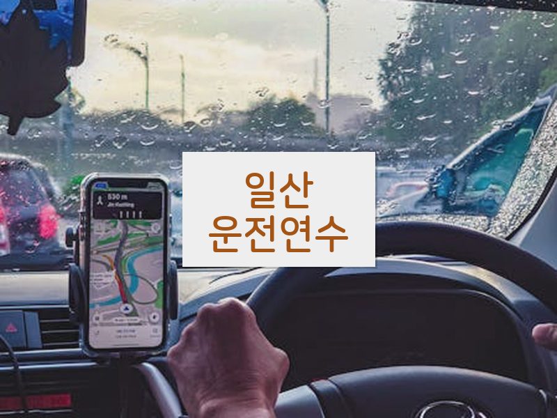 일산운전연수 후기