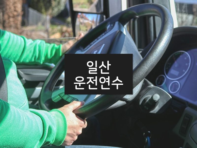 일산운전연수 후기