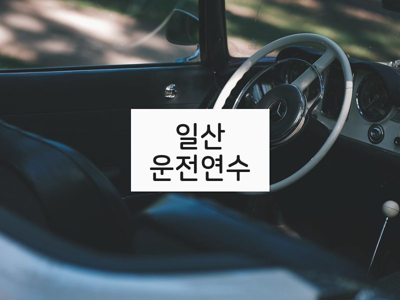 일산운전연수 후기