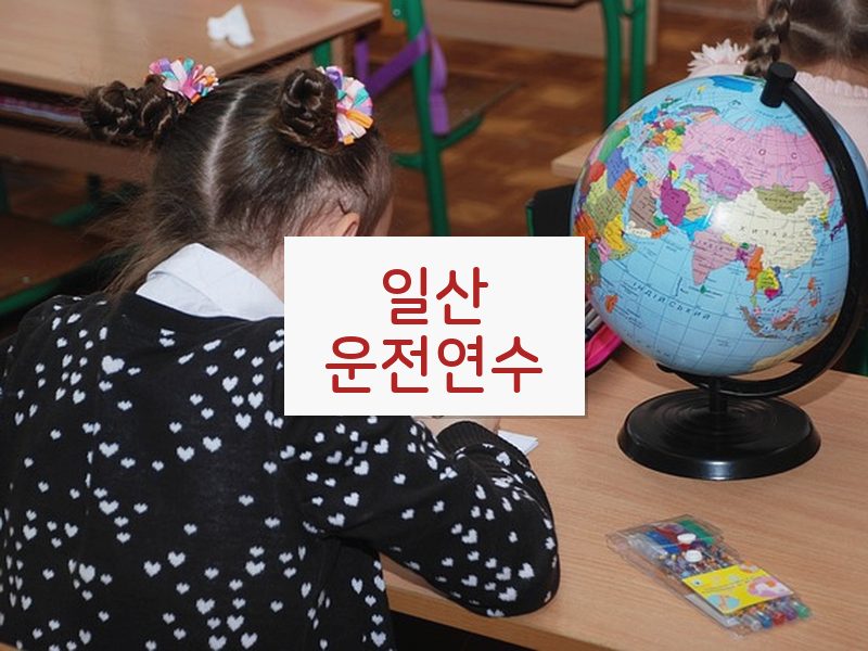 일산운전연수 후기